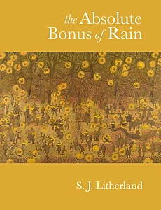Cover of 'The Absolute Bonus of Rain'