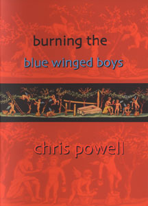 Burning the Blue Winged Boys book cover